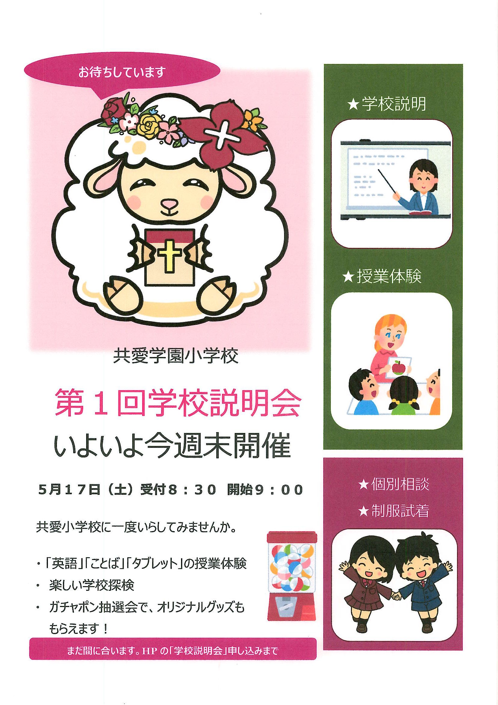 今週末は学校説明会です🌟🌟