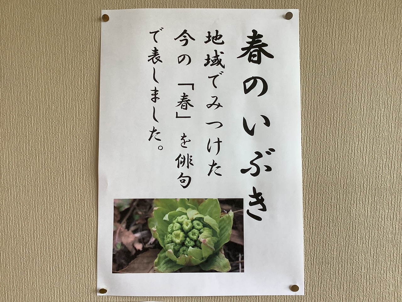 ６年生国語📙